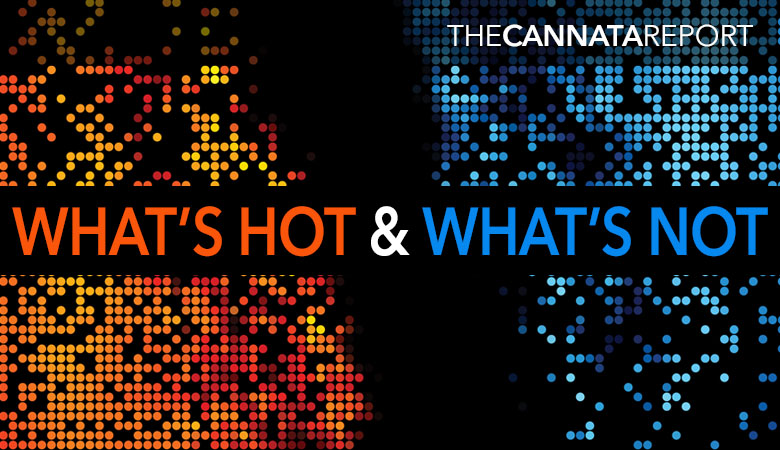 What’s Hot & What’s Not at LDI Color Toolbox?