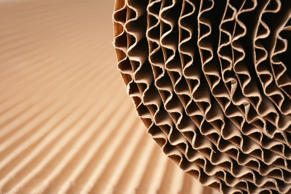 eProductivity Software Joins Forces with Indonesian Corrugated Cardboard Association AKKGI to Transform the Corrugated Industry