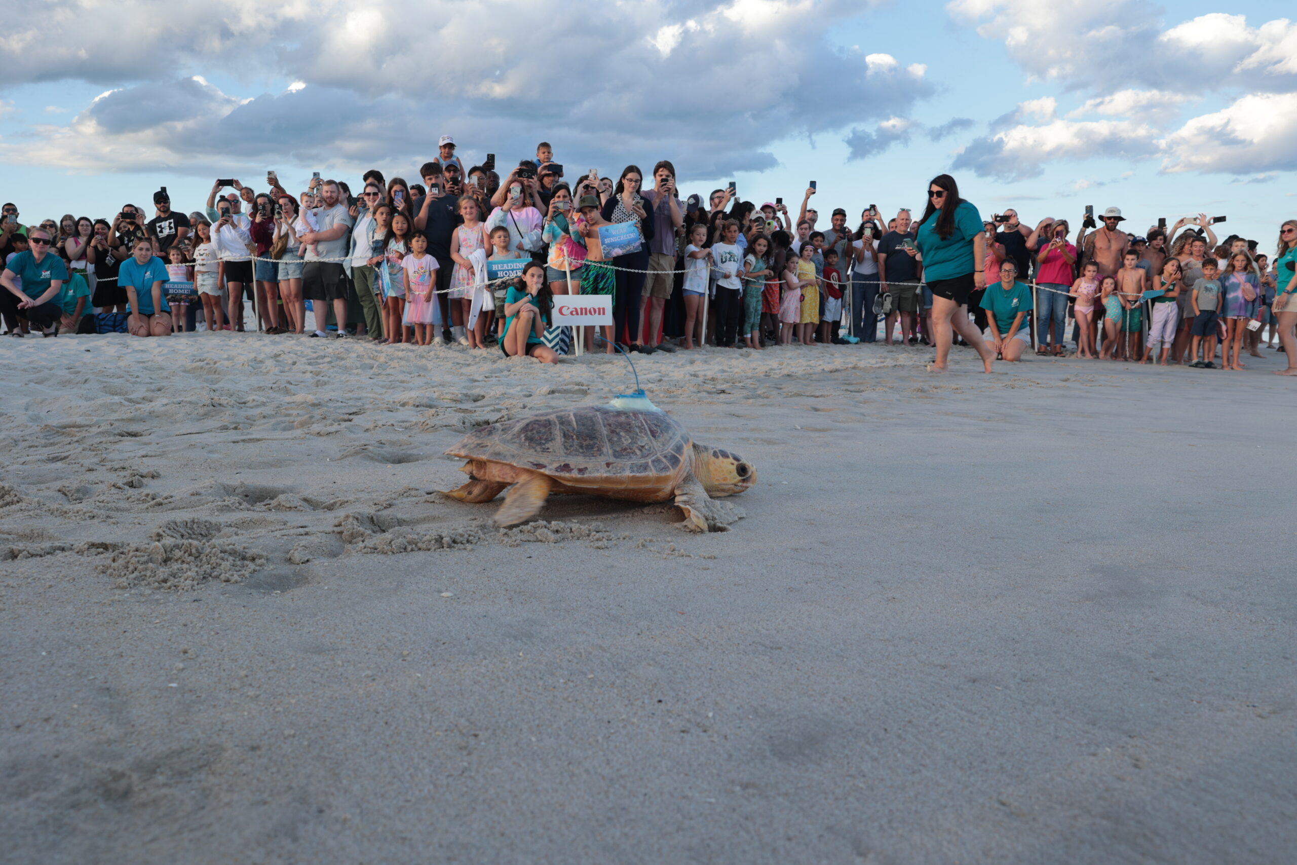Canon U.S.A. Supports the New York Marine Rescue Center Cold Stunned Turtle Program