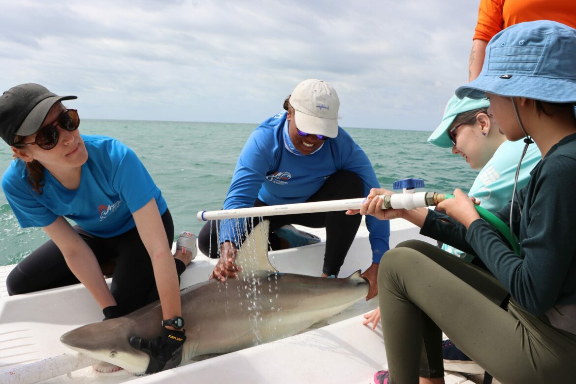 University of Miami Empowers Female Students with Immersive Stem Experiences Using Canon Cameras