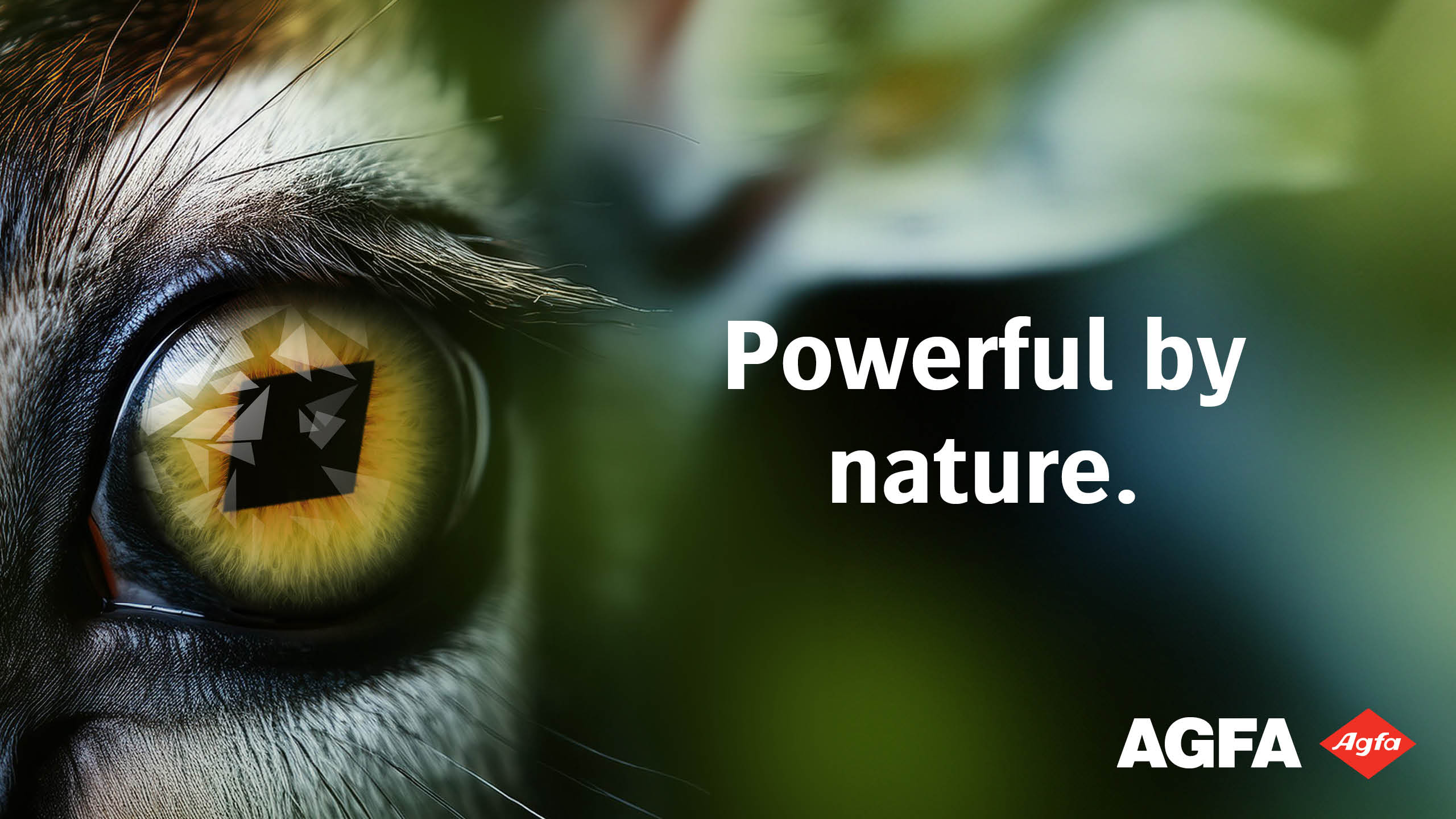Agfa to ‘Unleash’ Two New Inkjet Powerhouses at FESPA in Berlin