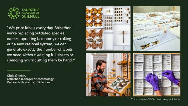 Epson ColorWorks On Demand Label Printers Bring Organization and Efficiency to California Academy of Sciences’ Entomology Collection